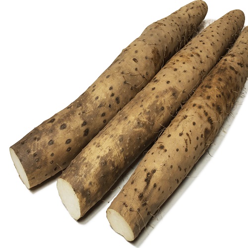 안동 장마 특품 10kg