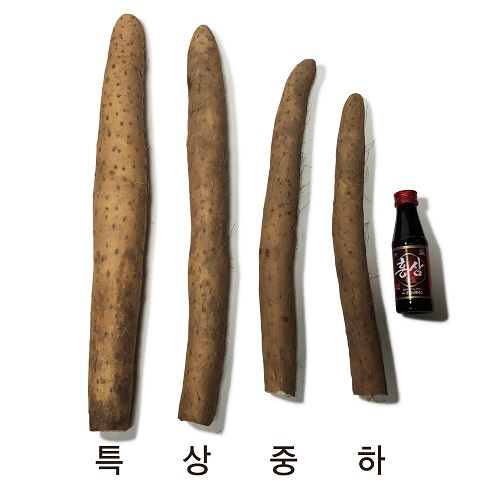 안동 장마 상품 5kg