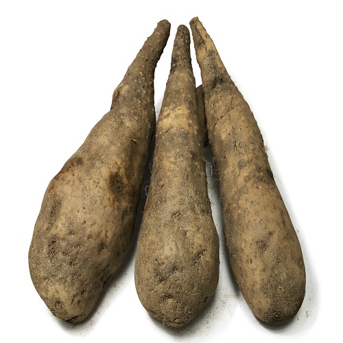 안동 산마 특상품 10kg