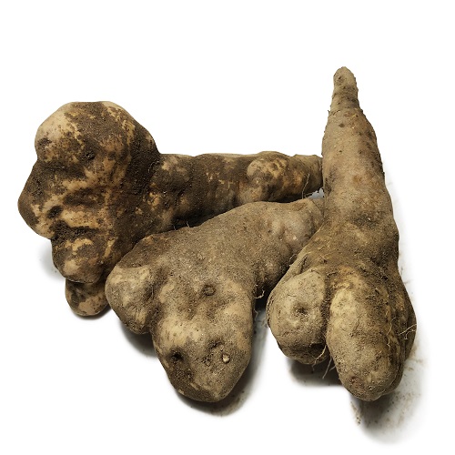 안동 산마 못난이 5kg