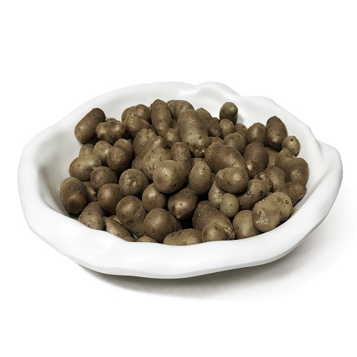 안동 마씨 영여자 3kg [햇마씨앗]