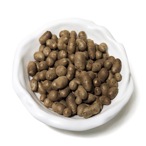 안동 마씨 영여자 3kg [햇마씨앗]