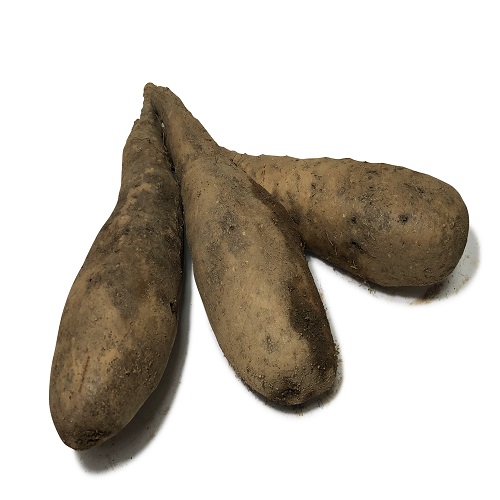 안동 산마 하품 10kg